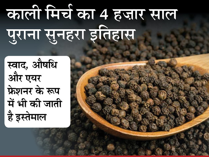 किचन की शान बढ़ाने वाली काली मिर्च एक समय कहलाती थी काला सोना, खूबसूरत है इस मसाले का इतिहास