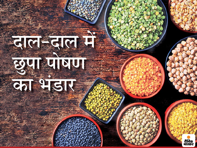 खाने में साबुत दाल भी शामिल करें, इसमें पोषण तत्वों का है खजाना, आयरन-कैल्शियम से लेकर मैग्नीशियम तक होती है पूर्ति