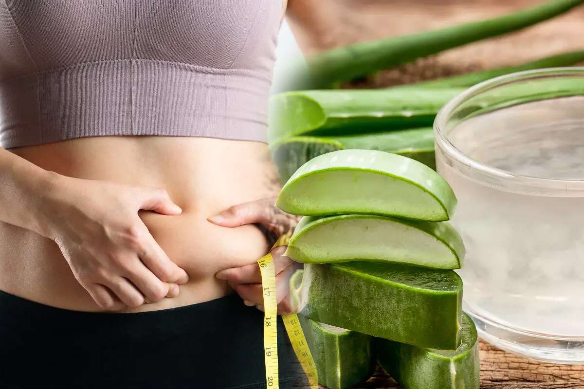 Belly Fat कम करने के लिए एलोवेरा का इस तरह करे इस्तेमाल