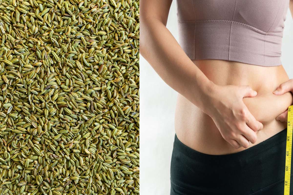 Fennel Seeds For Weight Loss: पेट की चर्बी पिघलाने के लिए रोजाना करें सौंफ का सेवन, मिलेंगे चमत्कारी फायदे