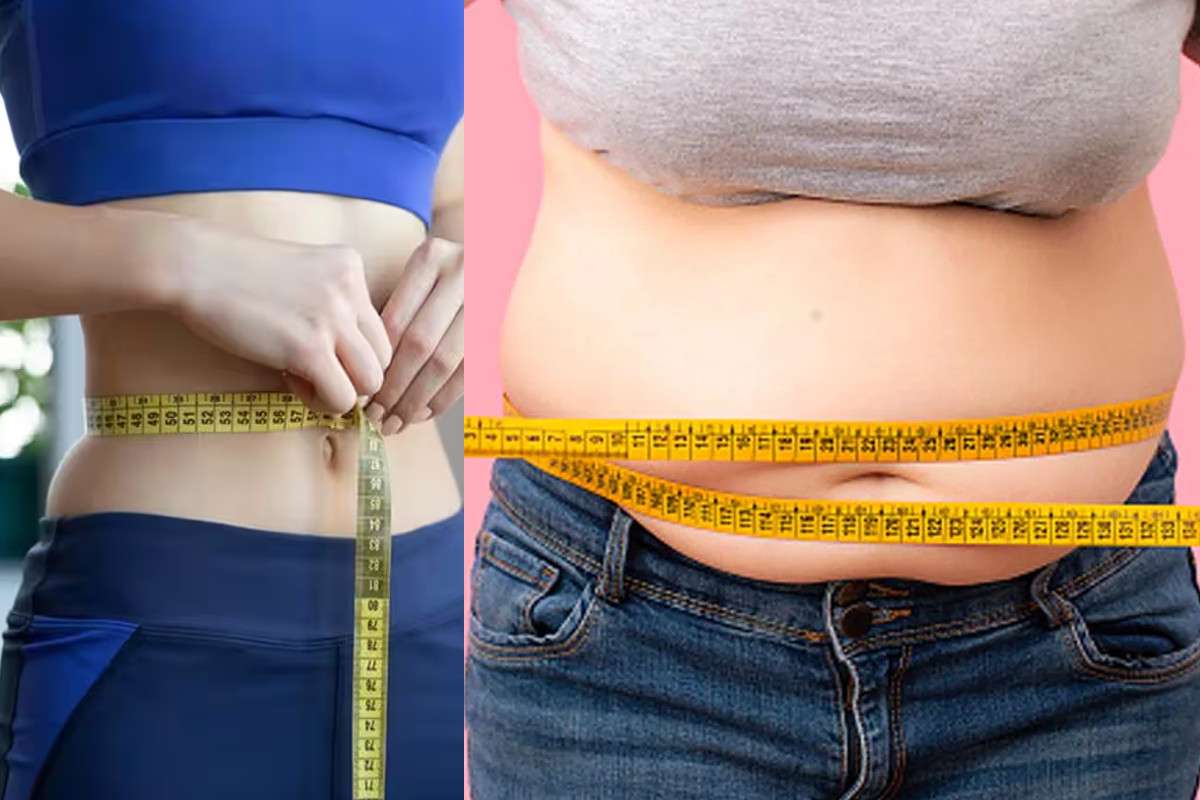 Weight Loss Tips: मीठे की जगह करें इन चीजों का सेवन, तेजी से घटेगा वजन